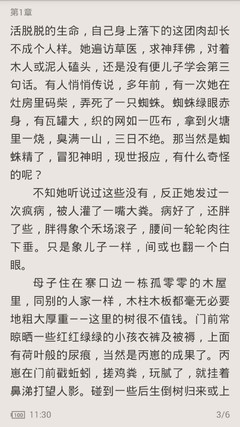 成都代办菲律宾签证需要哪些资料，可以办理加急吗？